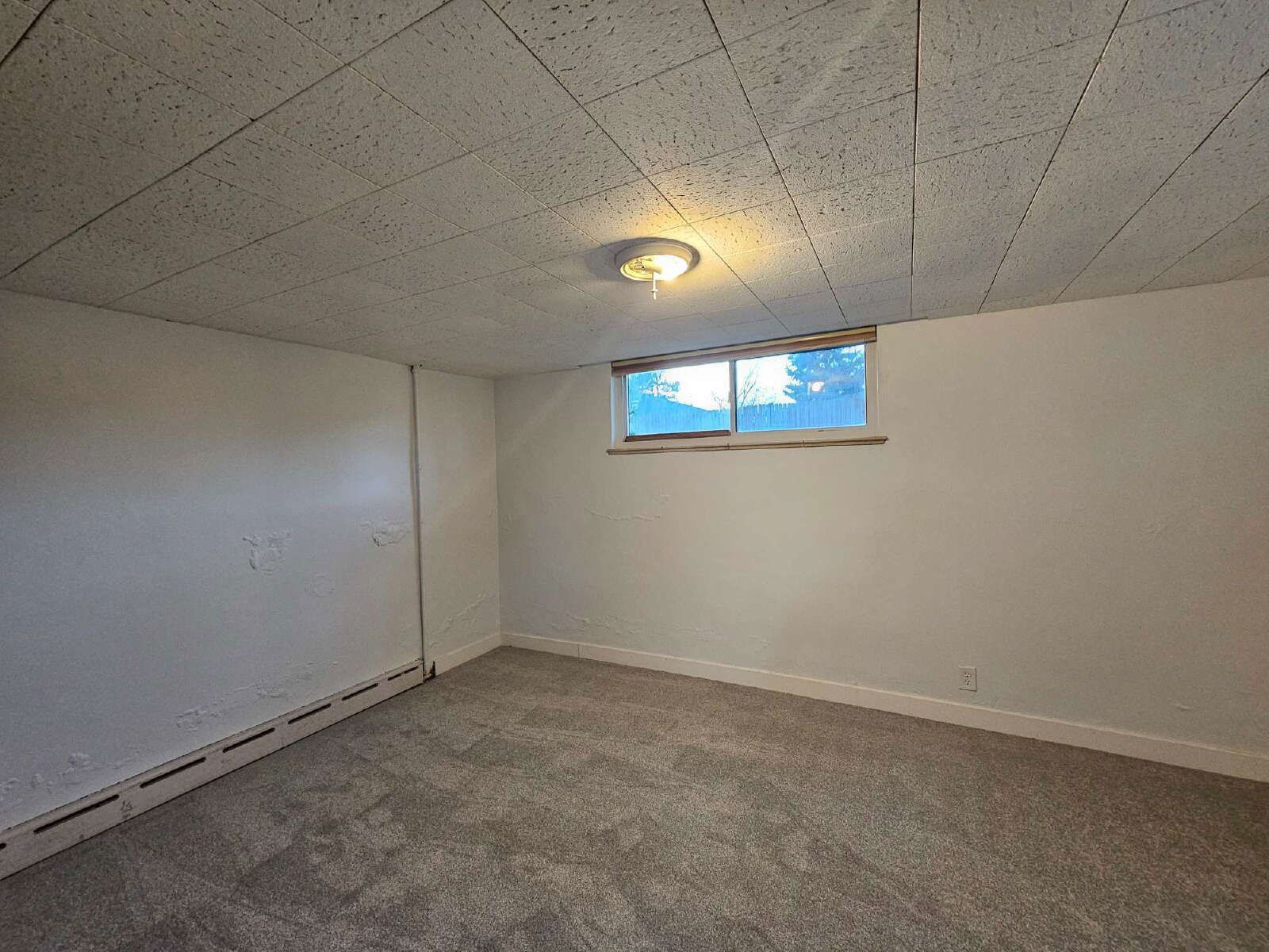 Spacious 5-Bedroom Lakewood Home with Finished Basement & Fenced Yard property image